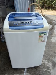 已清洗乾淨ZANUSSI金章  7kg洗衣機