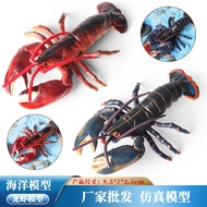 ★Limited Time Hot Sale★Children Cognitive Boston Lobster Australian Lobster Sea Animal Simulation Mo
