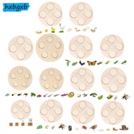 1/2/3 Early Learning Montessori Life Cycle Board for Preschool Kids