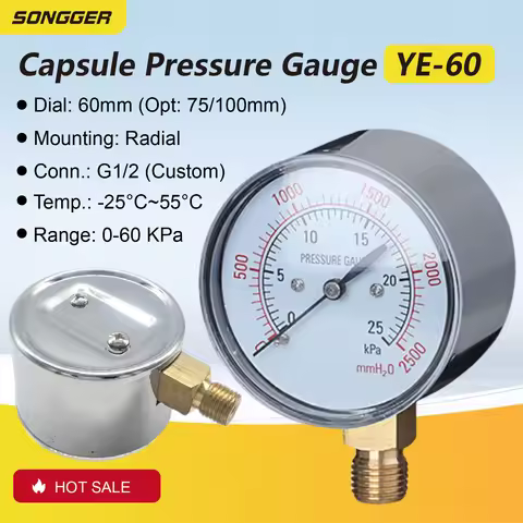 YE-60 Capsule Pressure Gauge 0-250kPa Natural Gas Vacuum Negative Micro Diaphragm Gauge Iron Nickel 