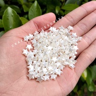 25g - Star Pearl Beads/Star Motes
