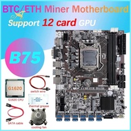 B75 12 Card BTC Mining Motherboard+G1620 CPU+Fan+Thermal Grease+SATA Cable+Switch Line 12 USB3.0 Slot LGA1155 DDR3 MSATA