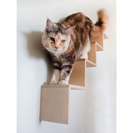 Cat Ladder Wall/Cat Toy Ladder