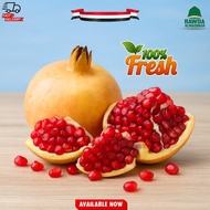 Buah Delima Segar Yaman | Pomegranate Premium Asli Import