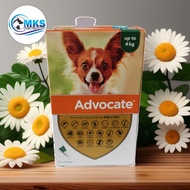 ADVOCATE small dogs 4kg