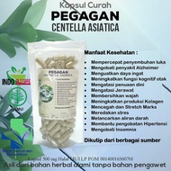 Kapsul Curah PEGAGAN 100/200/300 pcs Untuk Kecerdasan Hipertensi Insomnia Stretch Mark Alzheimer