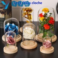 YVE Glass cloche Fairy Lights Plants Glass Vase Terrarium Jar Flower Storage box