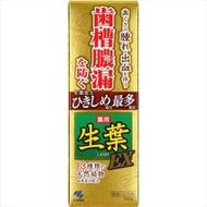 小林製藥 - 生葉EX 牙膏 小林製藥【平行進口】