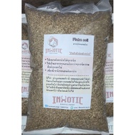 Mud Beetle Food For All Types Of Larvae