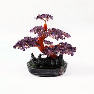 Amethyst Crystal Tree HC5