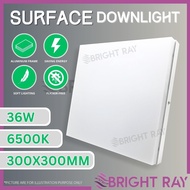 36W Ceiling Light Modern Surface Ceiling Light LED Downlight Lampu Bilik Nordic Ceiling Light Down L