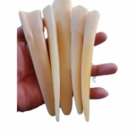 || PROMO / Pipa taring duyung once iga duyung pipa iga duyung asli pipa once gadi ORIGINAL