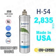 愛惠浦 - PENTAIR EVERPURE H54 替換濾芯 H-54 愛惠浦 (EV973006) 濾芯 通用 H-104 H104[新/舊包裝隨機發送]