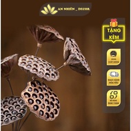 Dried Lotus 8-12cm, Lotus with Decorative Seeds