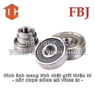 FBJ Bearing 6308 6016 6013 6403 6216 6215 6208 6809 6209 6210 6309 6813 6407 6213 6908 6911 6011 640