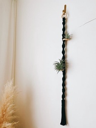 空氣鳳梨 植物編織掛