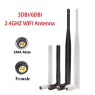 2Pcs Antenna 2.4GHz 5.8G 3dBi/6dBi Omni with RP SMA Male/Female Plug for Wireless Router Wholesale P