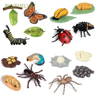 BLUEVELVET Simulation Animals Growth Cycle Butterfly Ladybug Chicken Life Cycle Figurine Plastic Models Action Figures Educational Kids Toy
