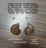 rantai leher ammonite pendant 班彩螺吊坠