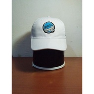 Allianz arena white caps