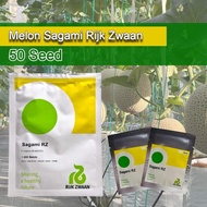 BENIH MELON SAGAMI RZ KEMASAN REPACK 50 BUTIR MELON PREMIUM RIJK ZWAAN -ARVENMORE