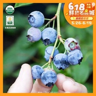 【一起買水果】 美國農夫家新鮮有機藍莓(12盒組 / 2.04公斤) ※預購-6月下旬採收陸續出貨※