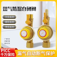 Natural Gas Self-Closing Valve Gas Pipeline Household Safety Valve Leak Overpressure Explosion-Proof