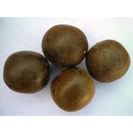 Monkfruit, 2.6 Yuan 1 Piece