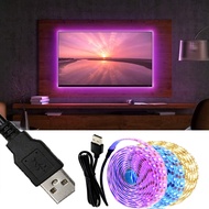 1M/3M/5M 5V Raya LED Strip Light USB TV Backlight Stair Cabinet Lamp Bedroom Light Room Decoration