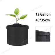 12 Gallon Hand Held Plant Thicken Grow Bags Fabric Pot Jardim Home Gardening Flowers Plant Growing Grow Garden Tools  SG2L3