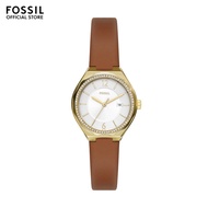 Fossil Women's Eevie Analog Watch ( BQ3957 ) - Quartz, Gold Case, Round Dial, 8 MM Brown Leather Ban