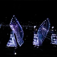 Luminous LED เต้นรําปีกสําหรับการแสดงบัลเล่ต์เรืองแสงผีเสื้อ Belly Dance เครื่องแต่งกาย Props สําหรั