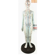 Acupuncture Model | Model Akupuntur | Patung Akupuntur