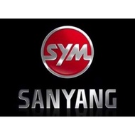 SYM Motors SYM-Sanyang Belt F6A, ADB, HEB, HJA, D21, A3G, H7K