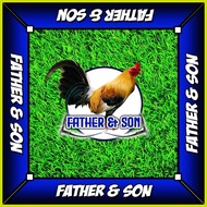 ≅ ◕ ▯ ─ Limber matting gamefowl
