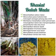 Buluh Madu dan Khasiatnya