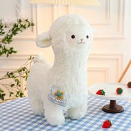 Cute alpaca surprise-free camel teddy bear, premium alpaca surprise-free camel stuffed animal