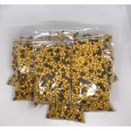 Osmocote Slow Release Fertilizer 19-10-13 | Baja Pokok 肥料 | Fertilizer for Plant 多肉肥料