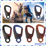 [AmlesoaeMY] Carabiner Clip Double Locking Snap Hook 35 kN Snap Auto Locking Carabiner Spring