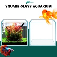 Perfect Square Aquarium Glass Rimless Tank 20cm 25cm 30cm