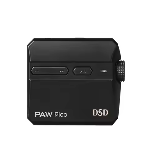 2026 Hot Sale Lotoo Chrysanthemum PAW Pico Fever HiFi Lossless Music Player for Sports Walkman MP3