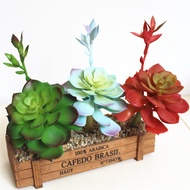 Simulated succulent plant stone lotus