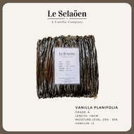 Wholesale Premium Grade Planifolia Vanilla Bean / Vanilla Pod