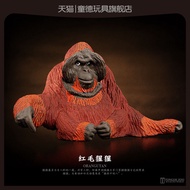 T Tongde Simulation Animal Toy Model Wild Red Gorilla King Kong Baboon Children Cognitive Educationa