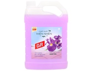 Gift Sweet Iris Scented Floor Cleaner Natural Extract 3.8kg Canister