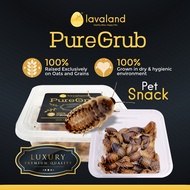 Lavaland - PureGrub - Dubia Roaches | Pet Snack | Feeder Insect | Reptile | Gecko