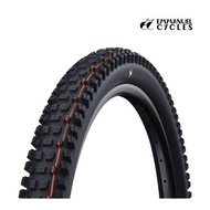 Schwalbe Albert Gravity Pro Radial ADDIX Soft TLR Tire 29 x 2.6