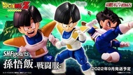 【KKtoys】不挑盒況 現貨 特價 代理版 魂商店限定 S.H.F SHF 七龍珠 Z 孫悟飯 戰鬥服 那美克星篇 少年期