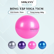 75cm Yoga Ball Premium Thick Pilates Yoga Ball