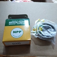 Bearing bearing 6005